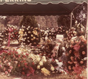 Tom Martins graveside Sept 30 1973